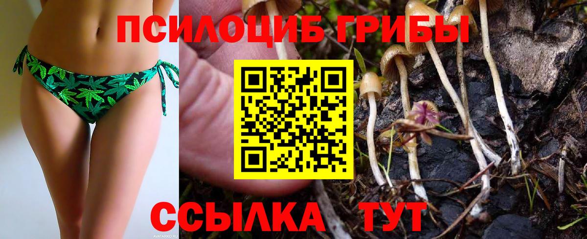 Краснознаменск  Псилоцибиновые грибы GOLDEN TEACHER  Галлюциногенные грибы Magic Shrooms  Вход с VPN 